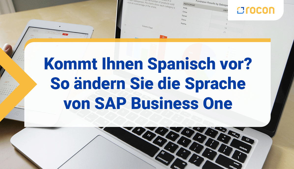 Sprache aendern in SAP Business One