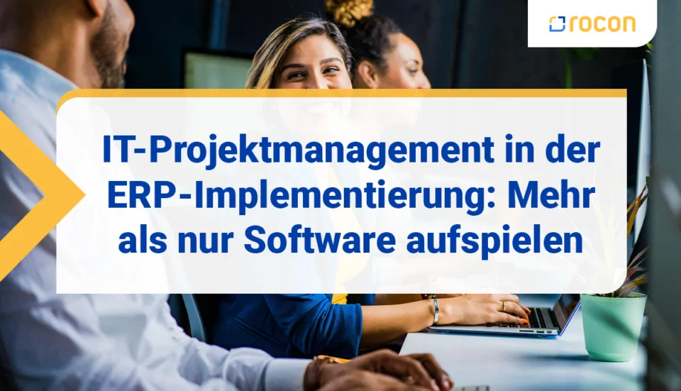 Titelbild IT Projektmgmt in der ERP Implementierung