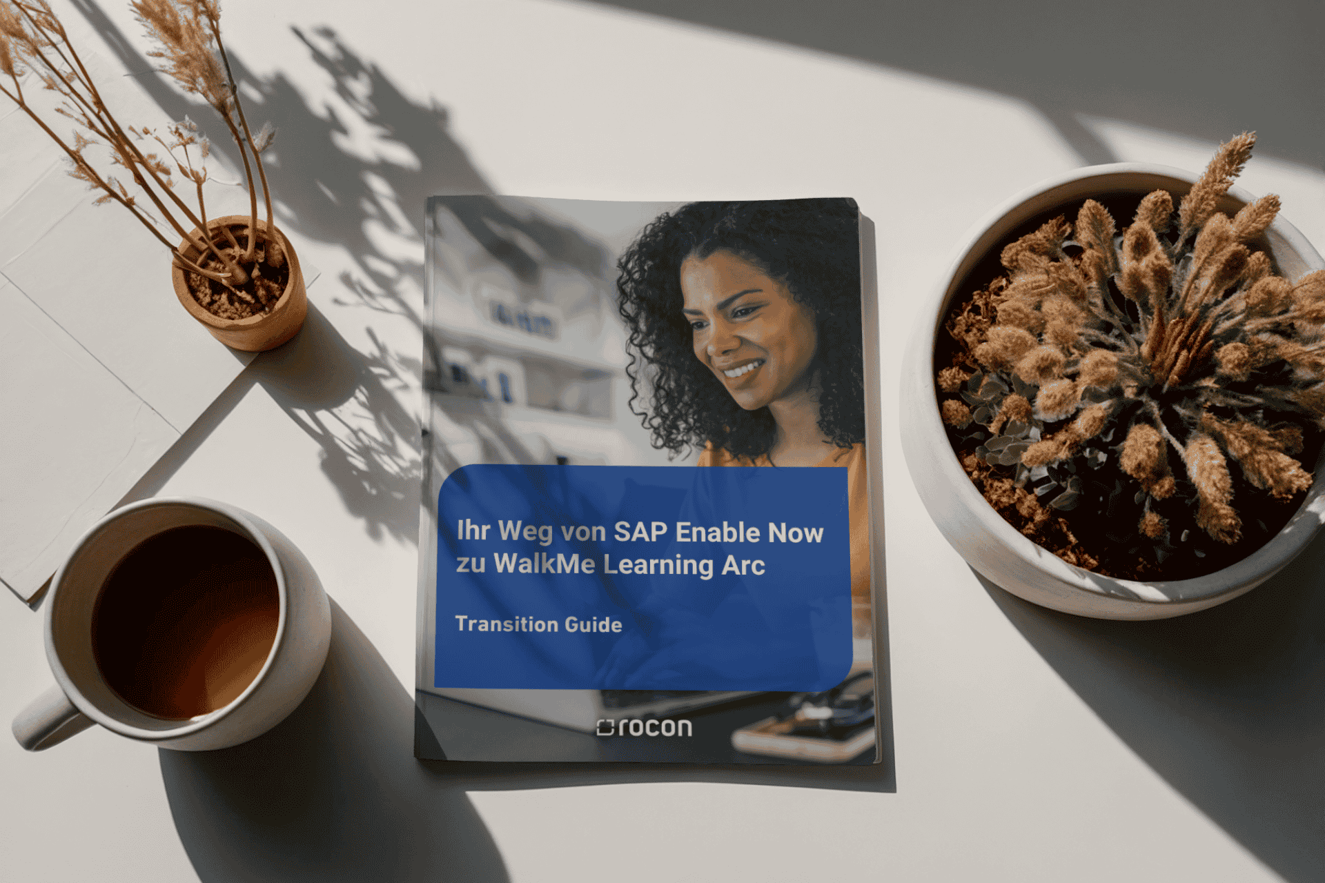 Download Walk Me Learning Arc Transition Guide