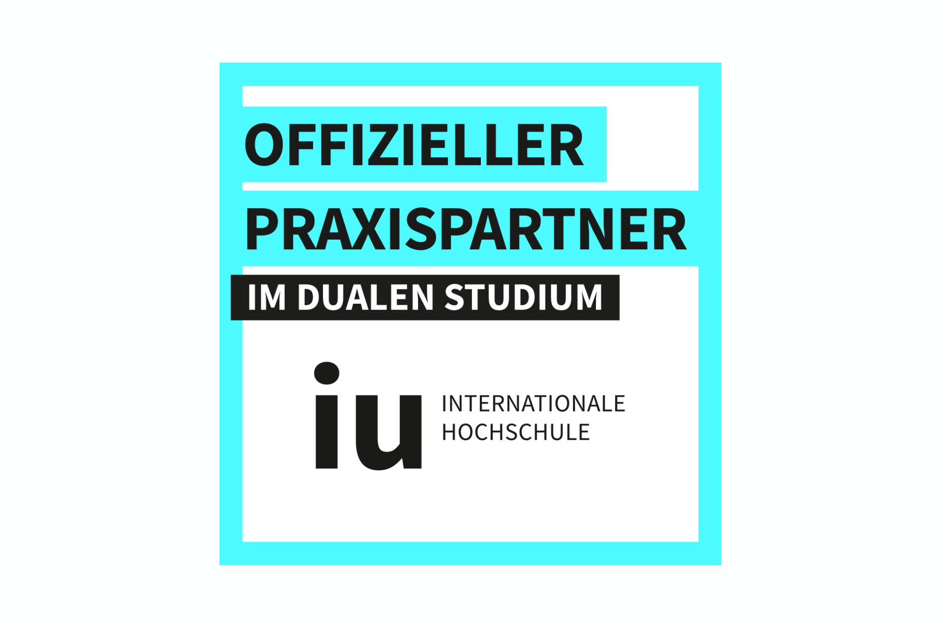 Logo IU Praxispartner