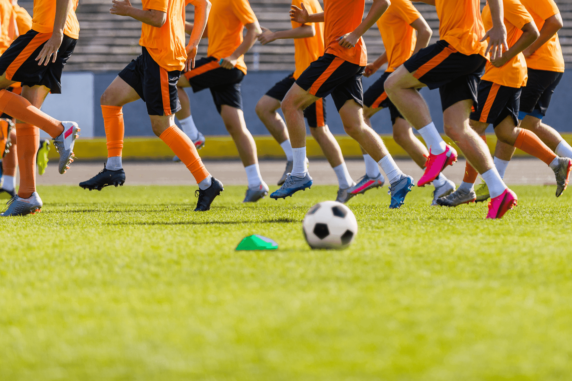 Mistral ERC Moodbild 2