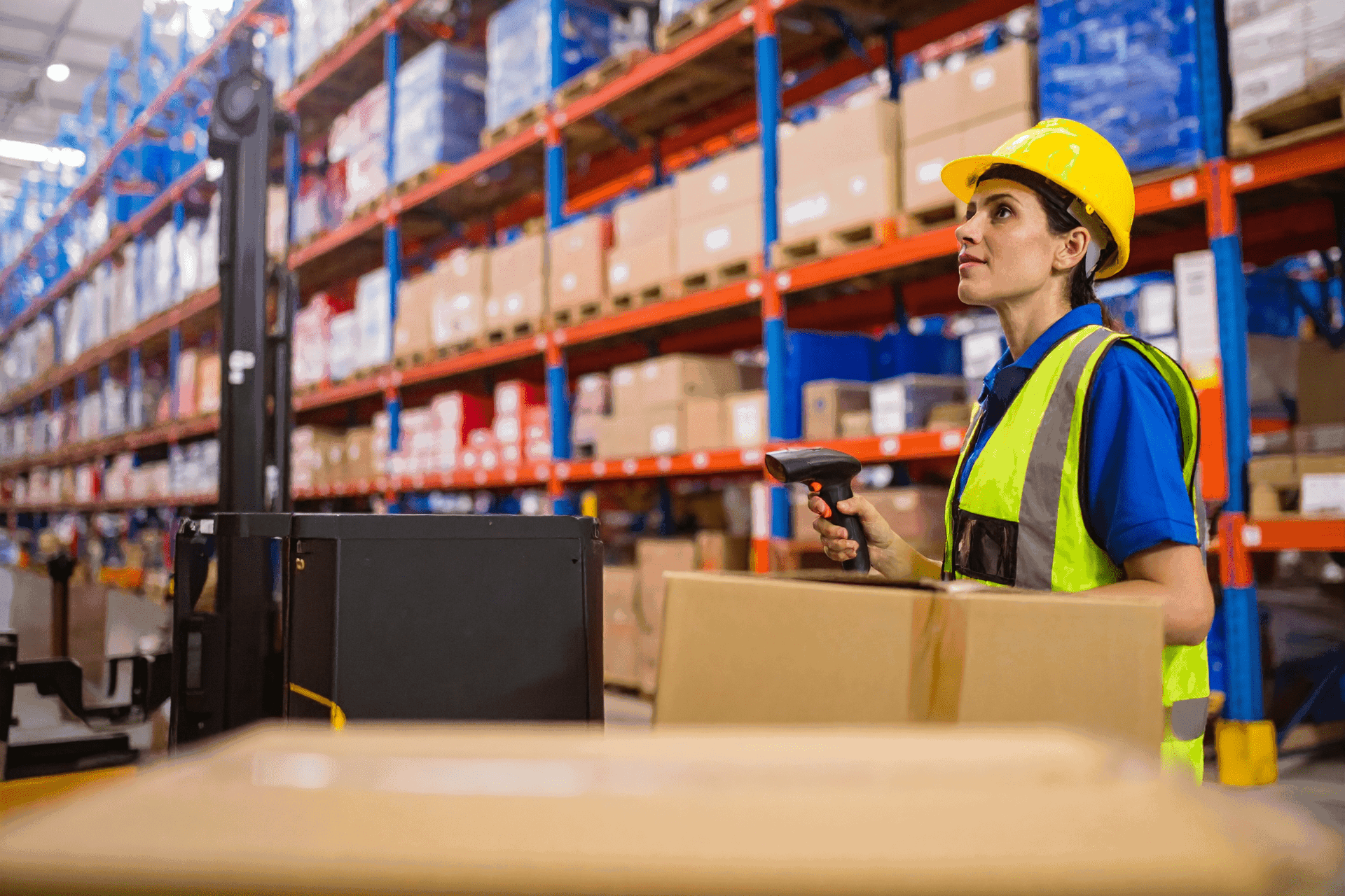 Mistral ERS Moodbild 2