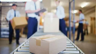 Logistik ellen wille